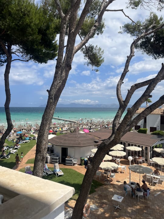 Ausblick Grupotel Los Principes & Spa