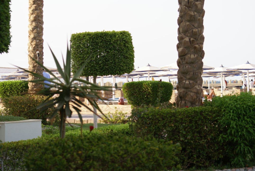 Blick vom Zimmer Pickalbatros Dana Beach Resort - Hurghada