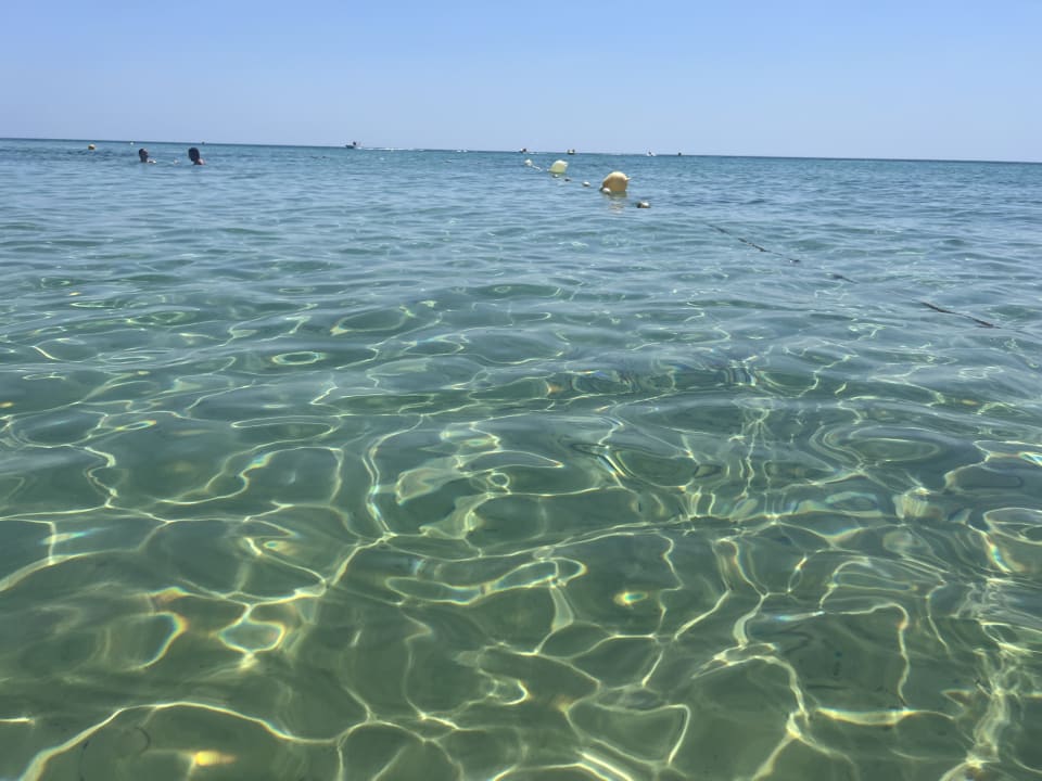 Strand Hotel Royal Nozha