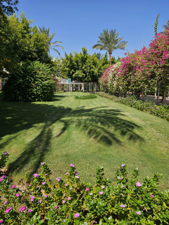 Gartenanlage Desert Rose