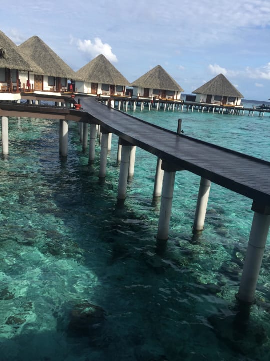 Villas Adaaran Select Meedhupparu Island Resort - Premium All Inclusive