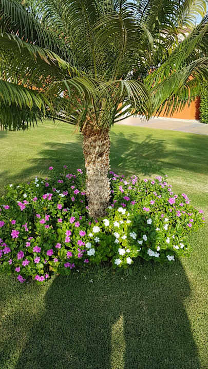 Gartenanlage Sentido Mamlouk Palace Resort