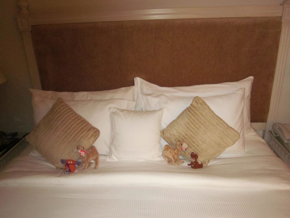 Schweben auf Wolke sieben Two Seasons Hotel & Apartments