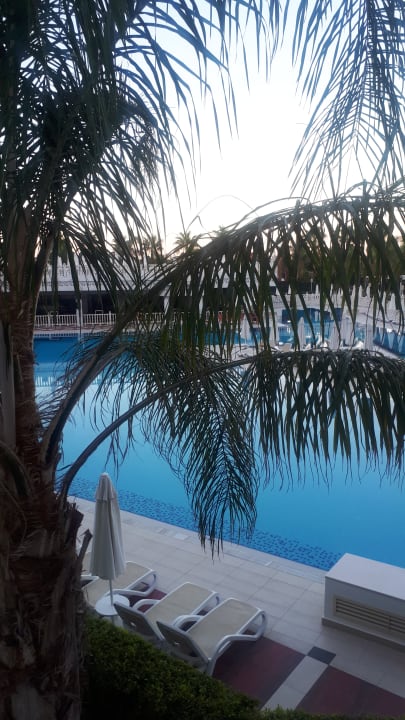 Pool Royal Taj Mahal Hotel