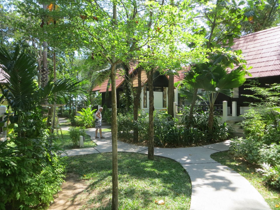 Die paradiesische Gartenanlage NH Collection Samui Peace Resort