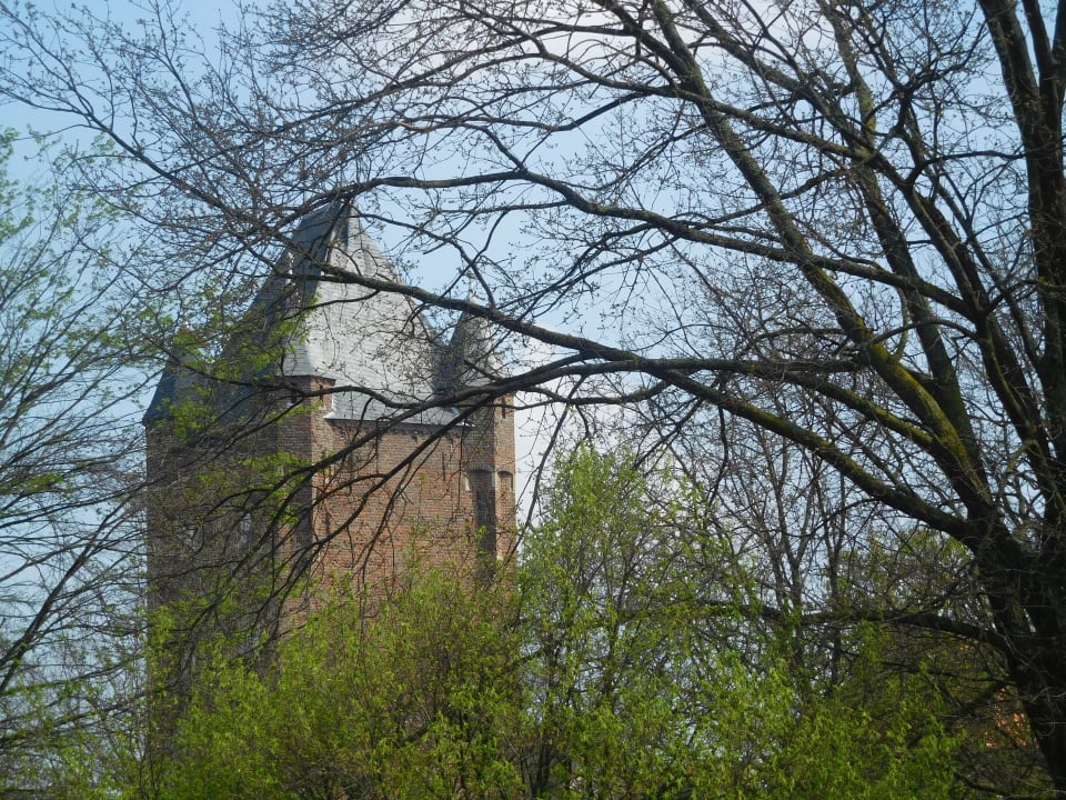 Ausblick Ferienwohnung Eulenturm