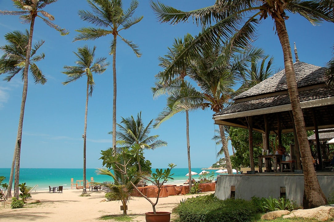 Beach Bar New Star Beach Resort