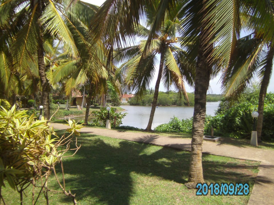 Ausblick Club Palm Bay