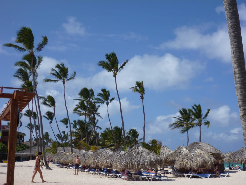 Strandliegen & Schirme Punta Cana Princess All Suites Resort & Spa