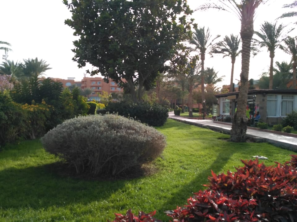 Gartenanlage Golden Beach Resort