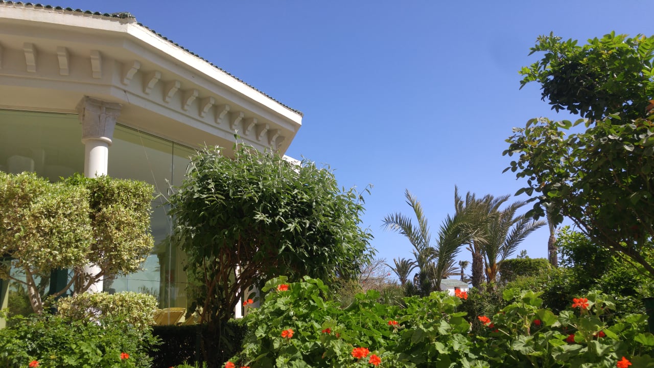 Gartenanlage Iberostar Selection Royal El Mansour