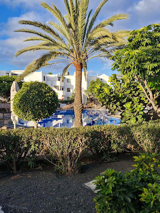 Pool allsun App.-Hotel Albatros