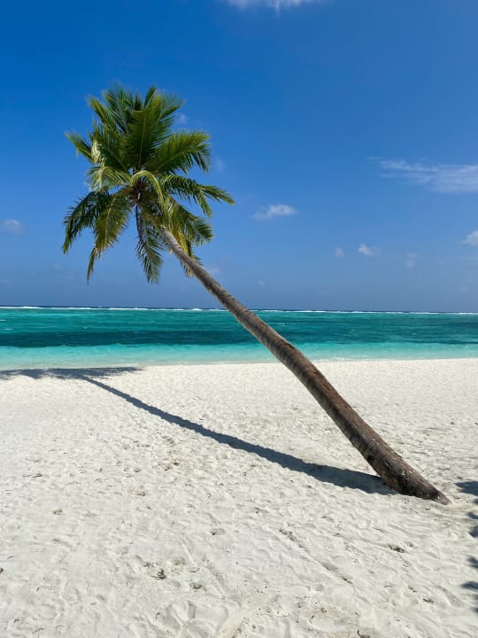 Strand Meeru Maldives Resort Island