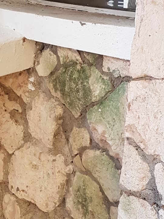 Außenansicht Hotel Viva Dominicus Beach by Wyndham - All Inclusive Resort