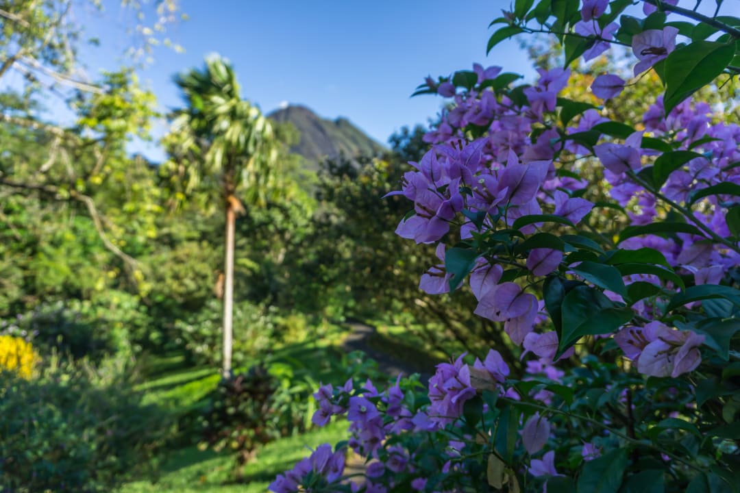 Gartenanlage Arenal Observatory Lodge & Spa