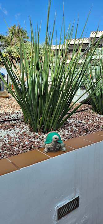 Gartenanlage Casas Pepe Apartments & Spa- Adults Only