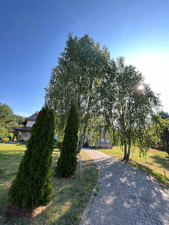 Gartenanlage Hotel Kosobudz