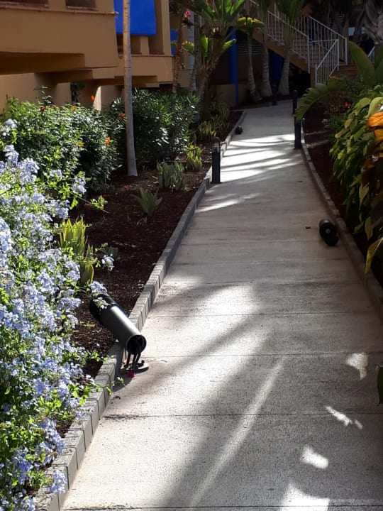 Gartenanlage Club Hotel Drago Park