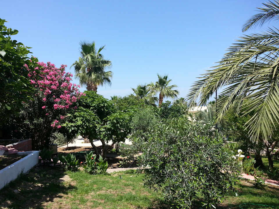 Oscar Resort Hotel Garden view Oscar Resort Hotel