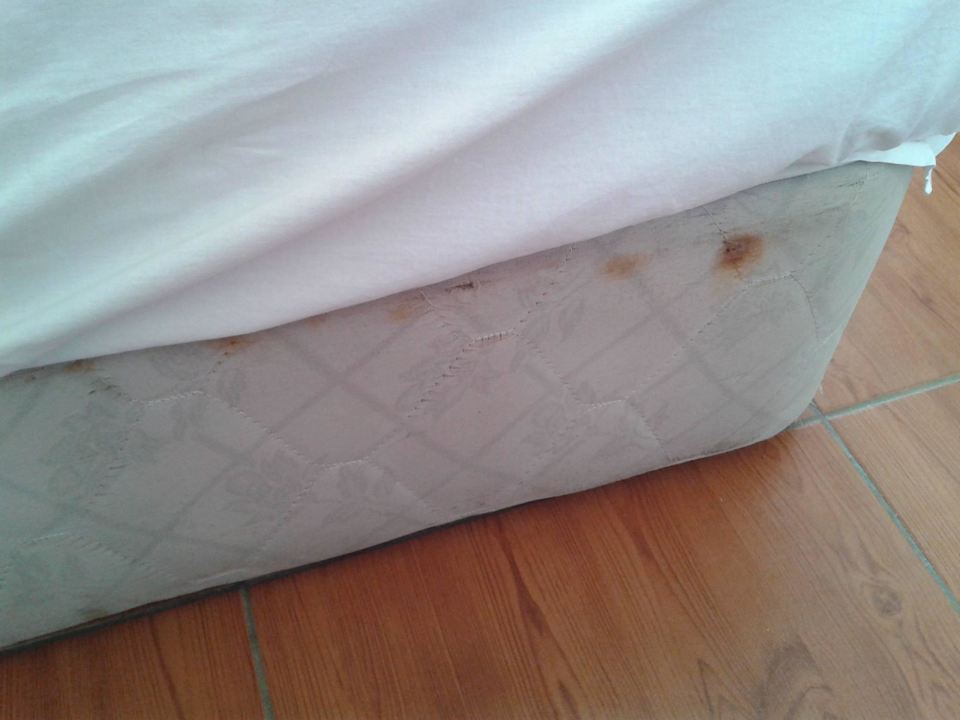 Bettkasten Hotel Ideal Beach