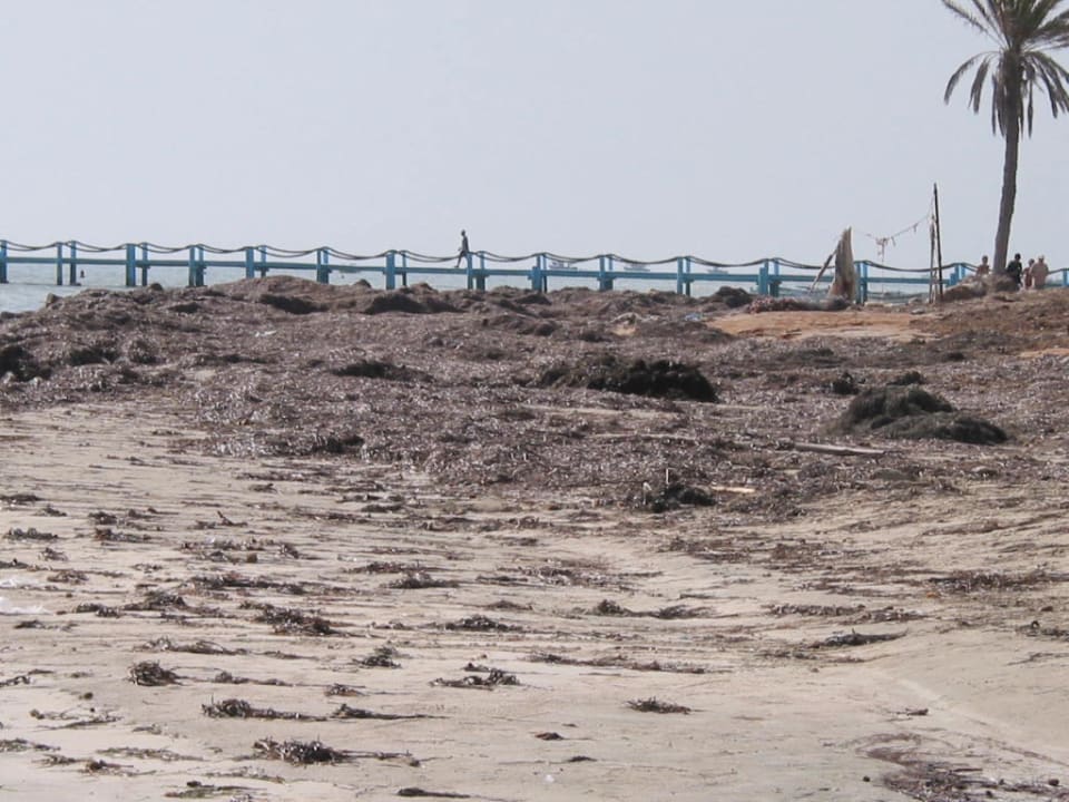 Strandabschnitt zwischen 2 Hotels Hotel Sangho Club Zarzis