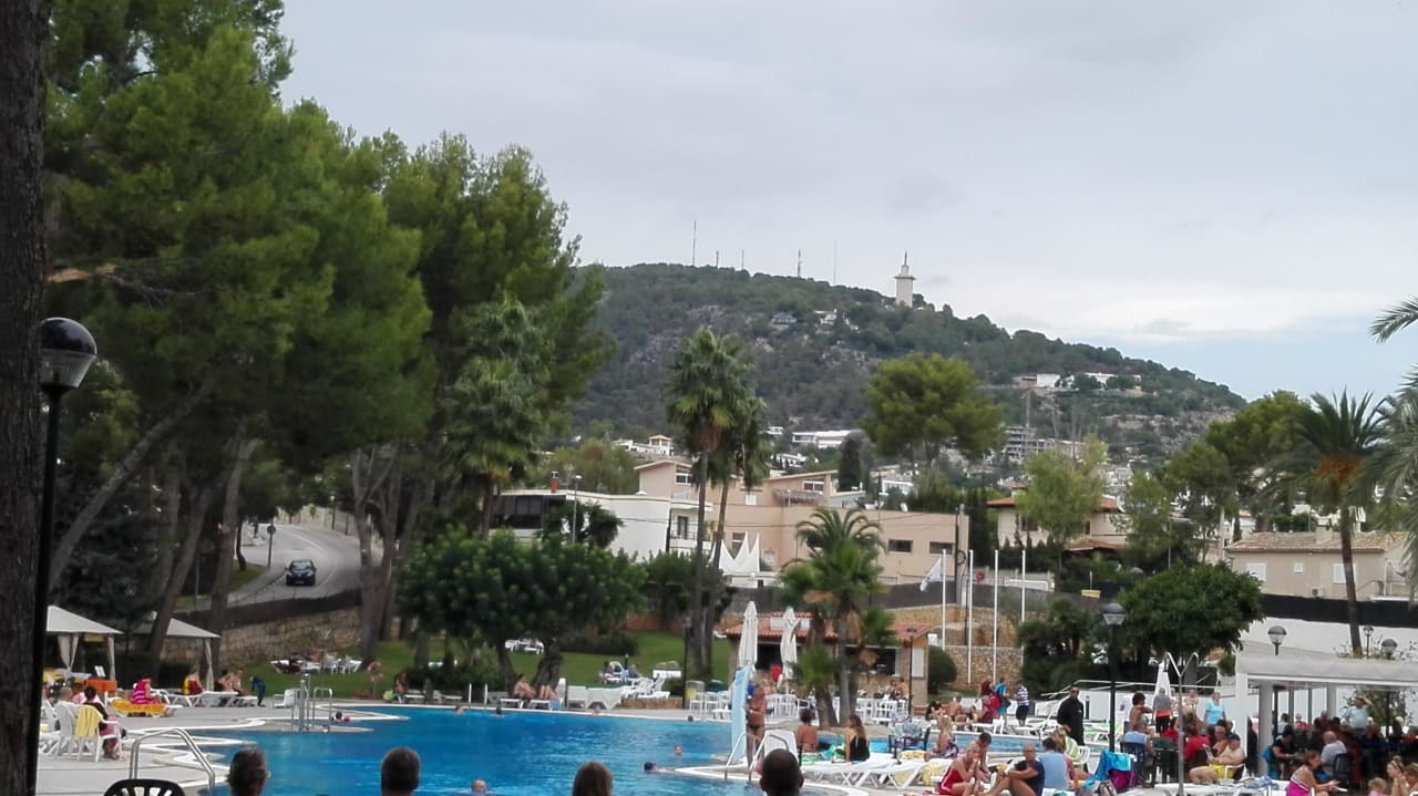 Pool BQ Belvedere Hotel
