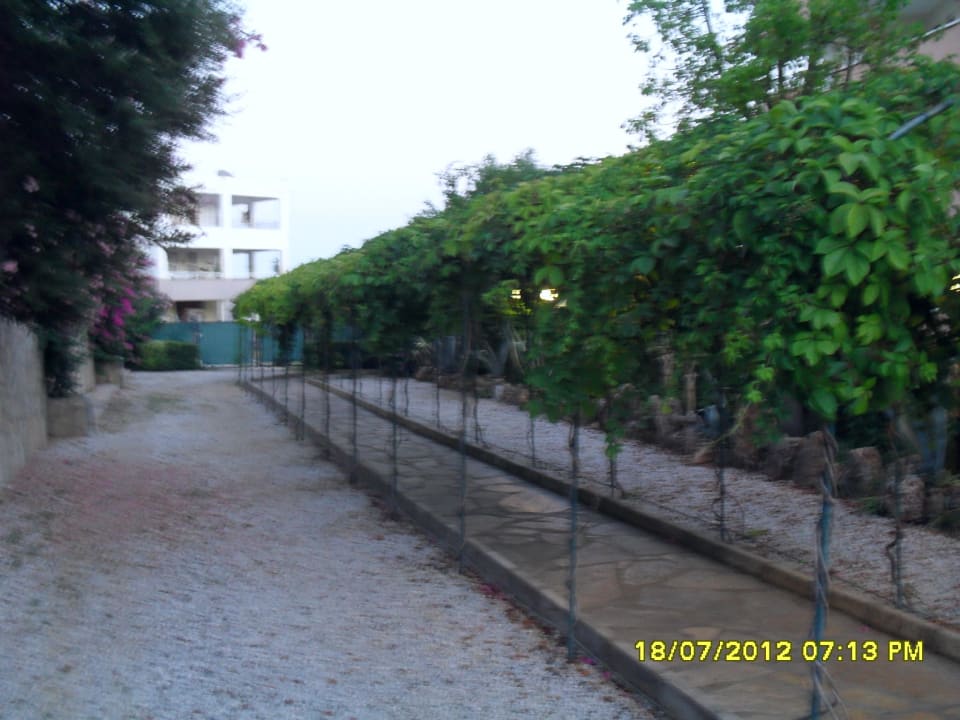 Hotel Club Paradiso Hotel Club Paradiso