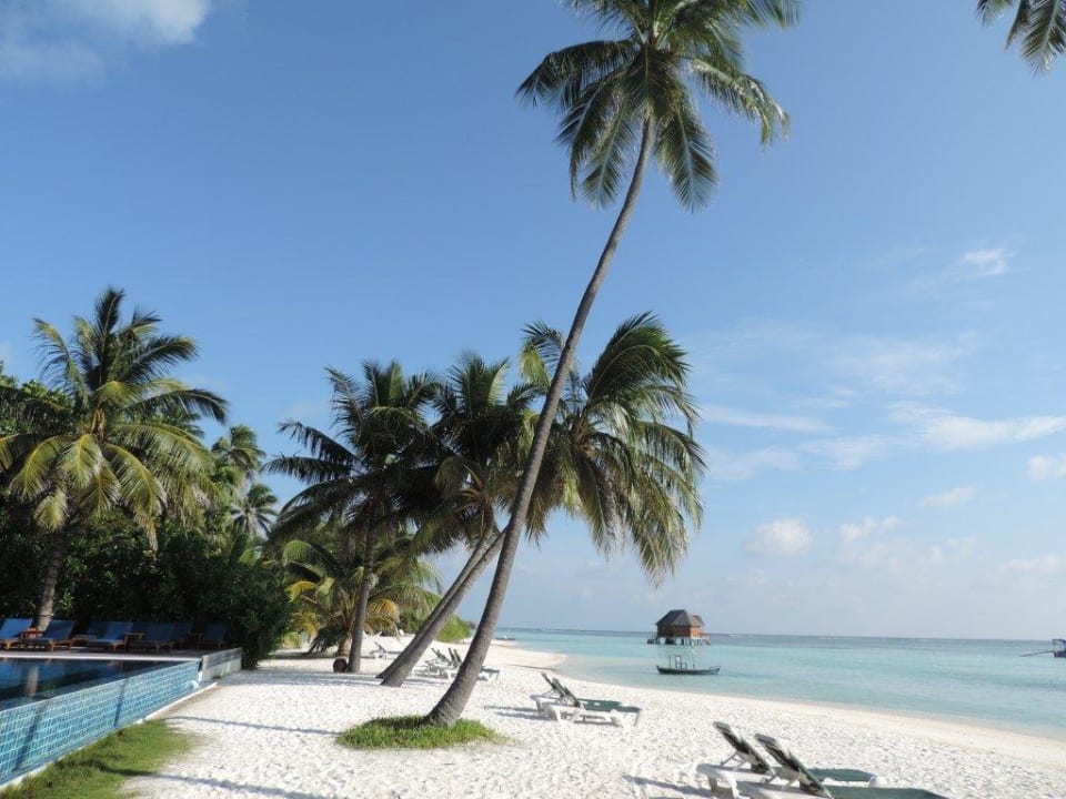 6 Meeru Maldives Resort Island