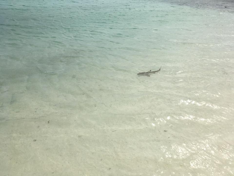 Strand Kuredu Island Resort & Spa