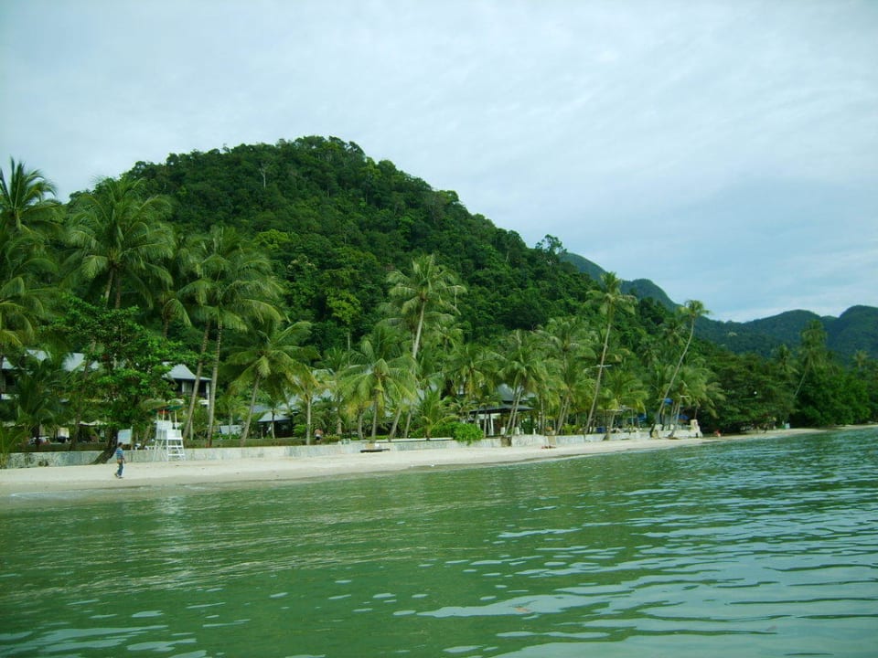 Überall Dschungel KC Grande Resort Koh Chang