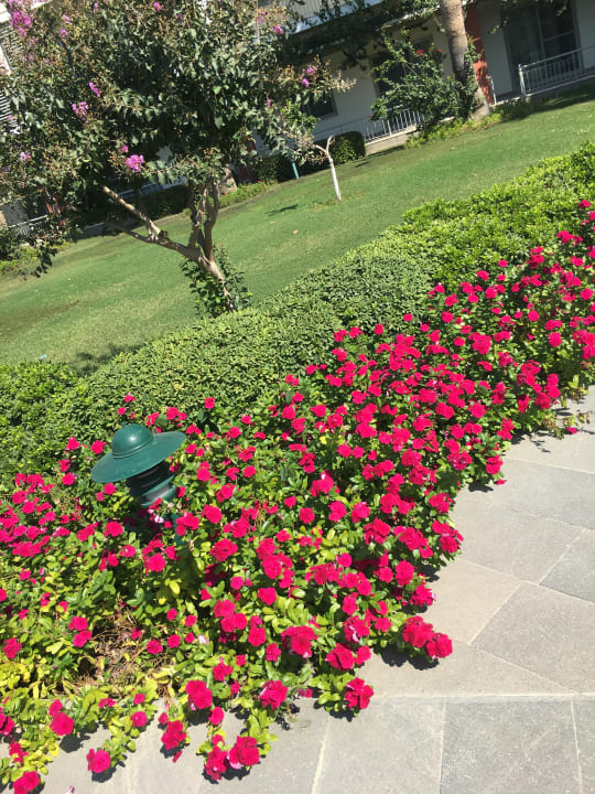 Gartenanlage Barut GOIA