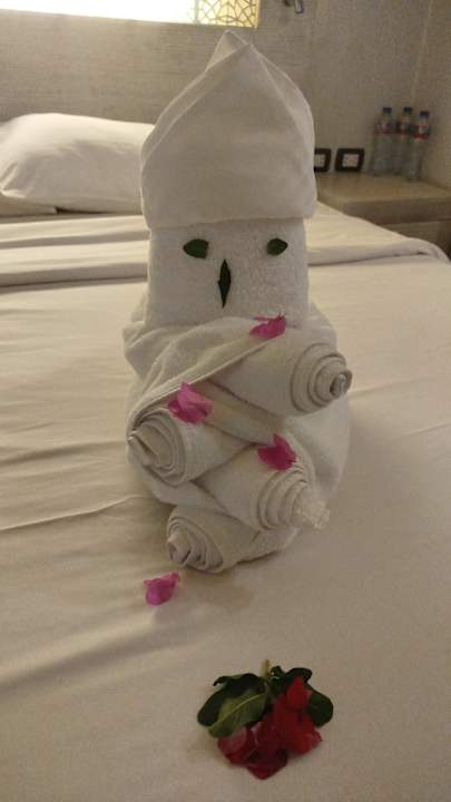 Zimmer Mövenpick Waterpark Resort & Spa Soma Bay