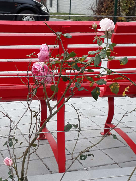 Sonstiges Vivea Hotel Bad Schönau - Zur Quelle