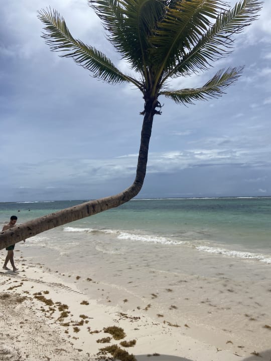 Strand Akumal Bay Beach & Wellness Resort