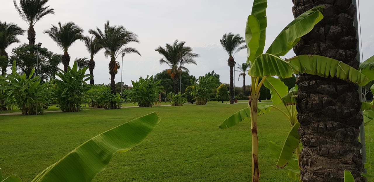 Außenansicht IC Hotels Green Palace