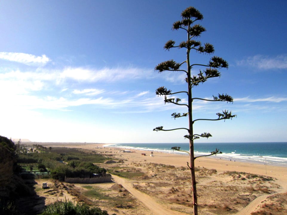 Ausblick Fuerte Conil-Resort