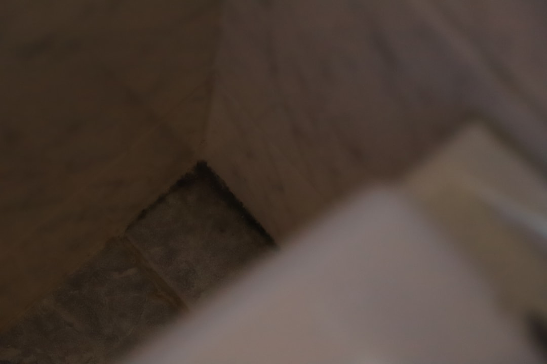 Zimmer Ferienwohnung Alpenblick