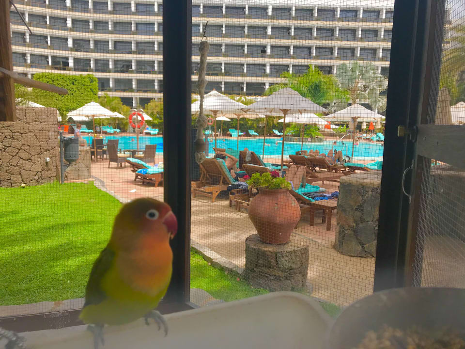 Sonstiges Seaside Hotel Palm Beach