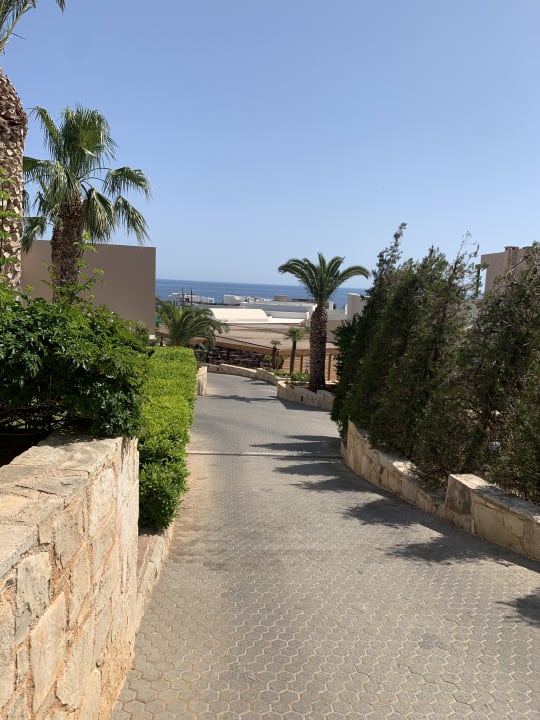 Gartenanlage Grand Hotel Holiday Resort