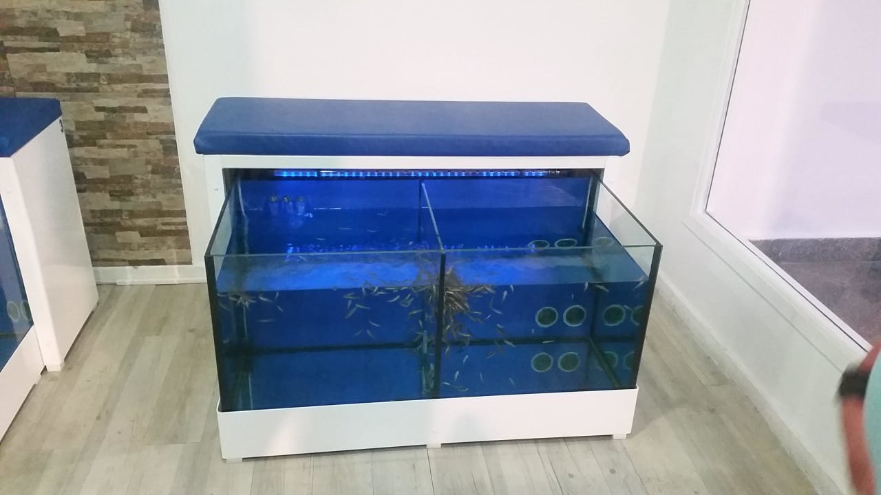 Fish Spa Hotel Clumba