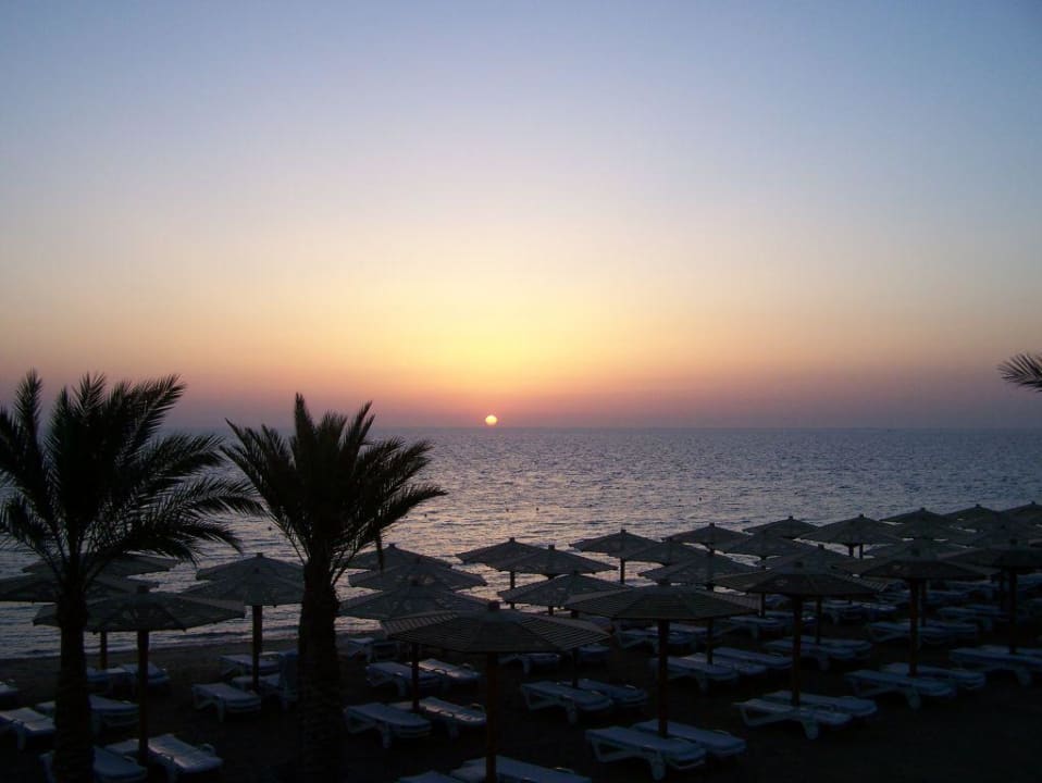 der Sonnenaufgang Palm Beach Resort