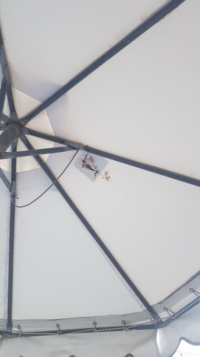 Pool Hotel Calypso Beach