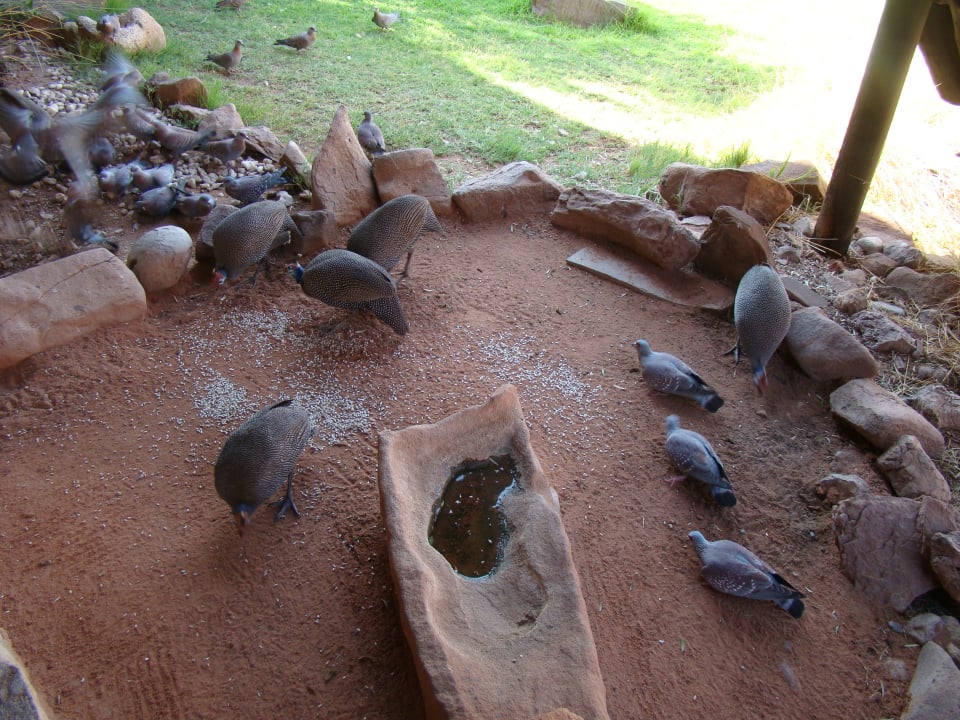 Sonstiges Twyfelfontein Country Lodge