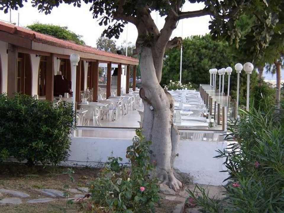 Restauracja na zewnątrz Woxxie Hotel