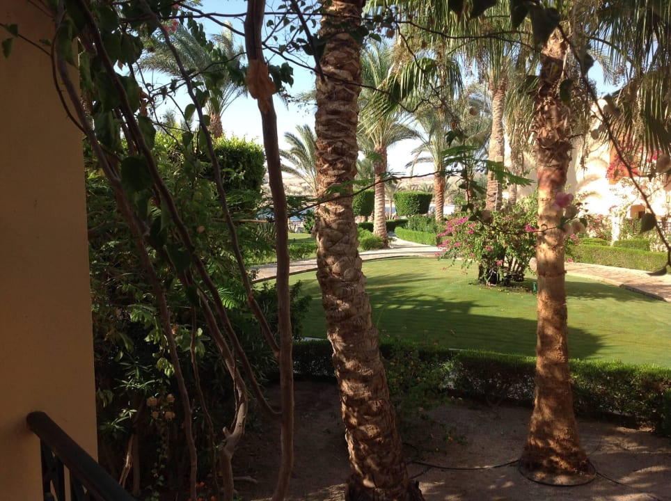 Aus Zimmer 1403 Steigenberger Coraya Beach - Adults only