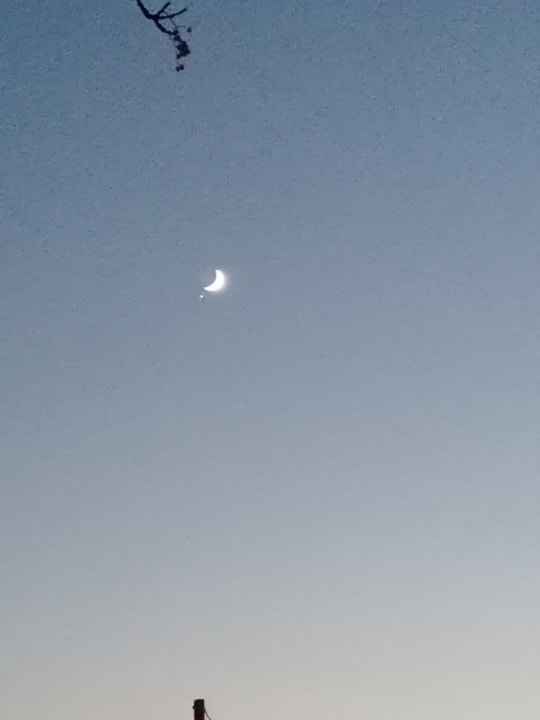 Ausblick Labranda Alantur Resort