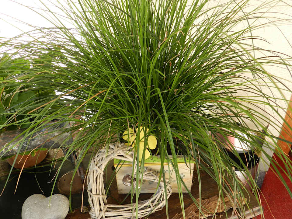 Außenansicht Hotel Pension Wilma