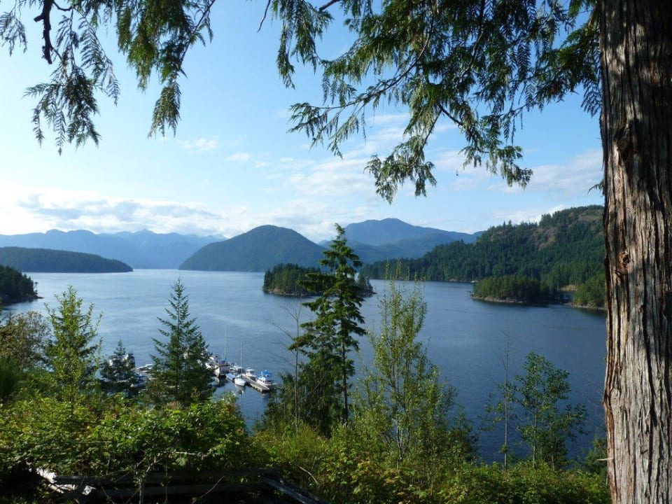 Ausblick vom Zimmer mit ocean view West Coast Wilderness Lodge