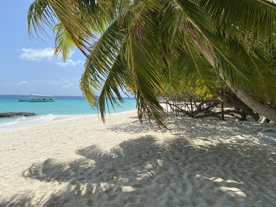 Strand Kuramathi Maldives
