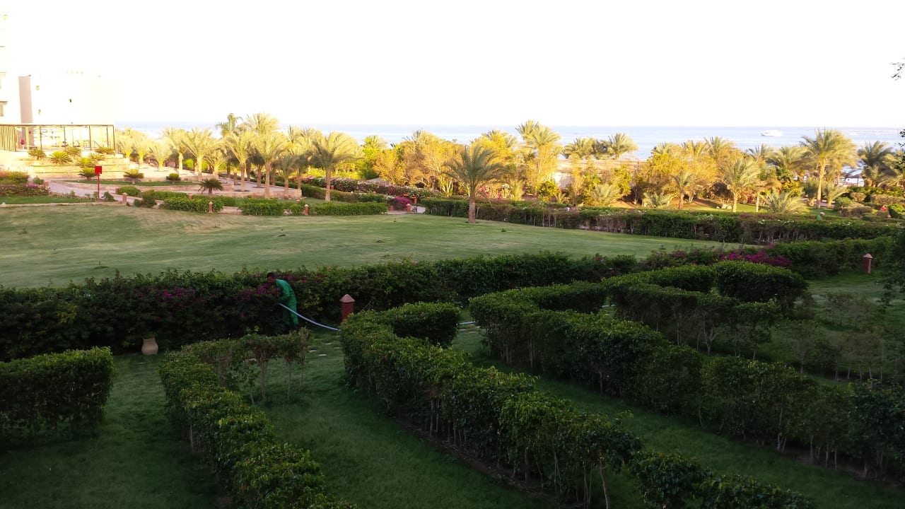 Gartenanlage Fort Arabesque Resort, Spa & Villas
